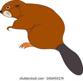 Castor marrón, ilustración, vector sobre fondo blanco.
