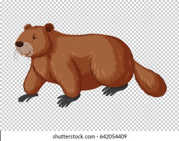 Brown beaver on transparent background illustration