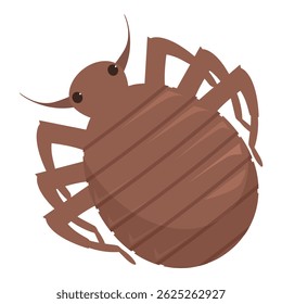 Ilustración de dibujos animados de insectos de chinche de cama marrón que extiende sus piernas sobre fondo blanco