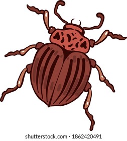 Brown beetle, illustration, vector on white background.