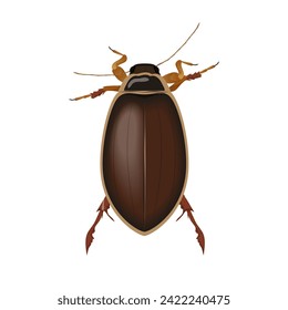 Brown beetle, top view of bug with antennae and legs, insect pest vector illustration