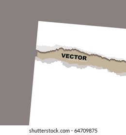 Brown or beige card with torn paper background with copyspace
