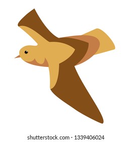 brown bird flat illustration isolated on white. Marine and underwater life series