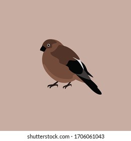 Brown Bird Flat Vector Minimalist Illustration