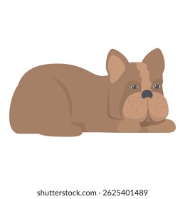 Brown and black french bulldog is lying down with its front paws outstretched