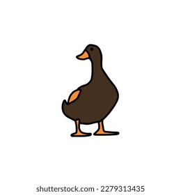 brown body duck with white muzzle