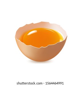 Brown, broken egg on a white background, protein product, chicken egg. Vector.