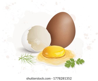 brown and broken white egg with yellow yolk vector illustration
