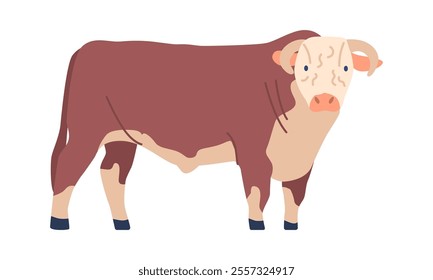 Brown bull buffalo vector illustration