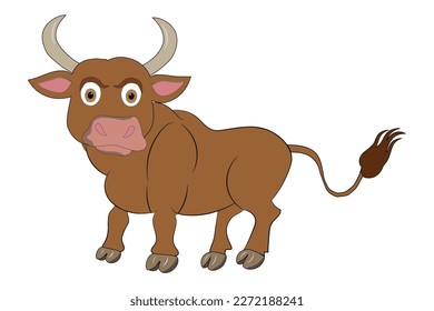 Brown bull on white background