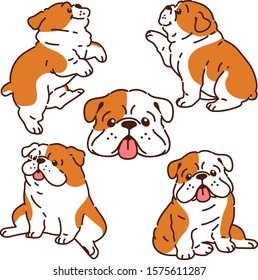 Brown Bulldog five poses set