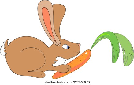 Brown bunny with carrot