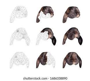 Brown bunny face set low poly triangular vector illustration isolated on white. Polygonal style trendy modern logo business fairy design template for easter invitations and greetings.