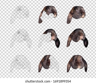 Braunes, sonniges Gesicht setzt Low-Poly-Dreieck-Vektorillustration-Illustration einzeln auf transparent. Polygonale Stil modische moderne Logo Business Fee Design Vorlage für Ostereinladungen und Grüße.