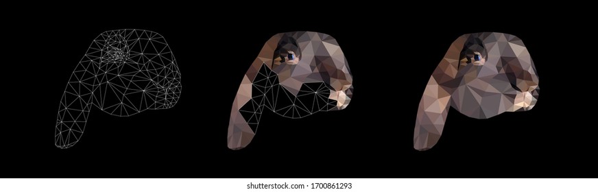 Brown bunny face set low poly triangular vector illustration isolated on black. Polygonal style trendy modern logo business fairy design template for easter invitations and greetings.