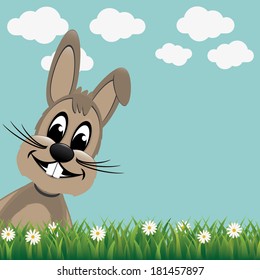 brown bunny look from side daisy meadow
