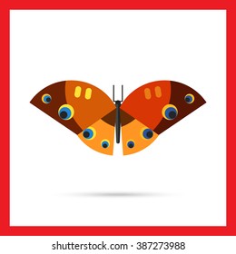 Brown butterfly