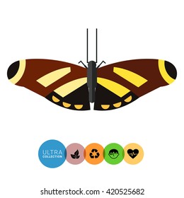 Brown butterfly icon