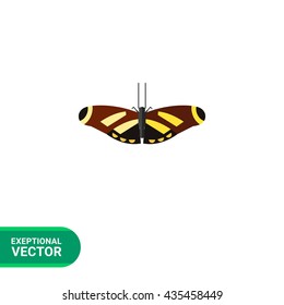 Brown butterfly icon