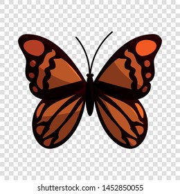 Brown butterfly icon. Cartoon illustration of brown butterfly vector icon for web