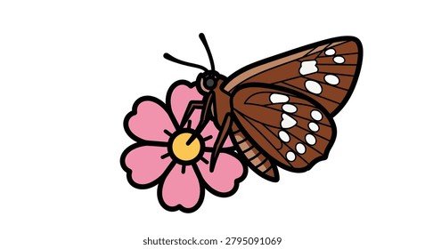 Brown butterfly on pink flower