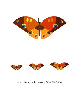 Brown butterfly with spots