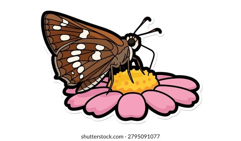 Brown butterfly with white spots sitting