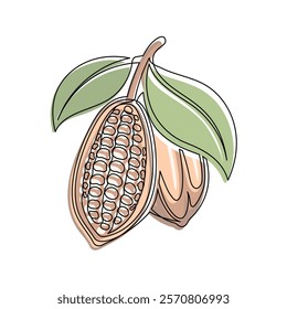 Brown cacao beans branch with green leaves line isolated on white background. Simple silhouette of vegetable. Hand drawn cacao beans branch outline. Vector illustration