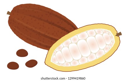 Brown cacao illustration