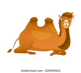 Brown Camel as Even-toed Ungulate Desert Animal Sitting Vector Illustration