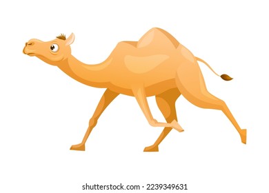 Brown Camel as Even-toed Ungulate Desert Animal Running Vector Illustration