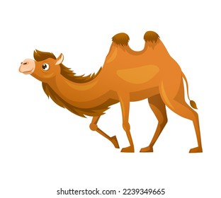 Brown Camel as Even-toed Ungulate Desert Animal Walking Vector Illustration