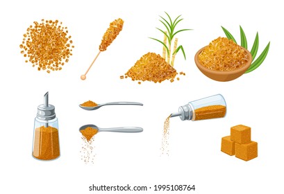 Brown cane sugar collection, template for packaging label design. Vector illustration flat cartoon icon set isolated on white background.