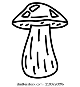 Brauner Boletus. Ein großer köstlicher Waldpilz. Ein essbarer Pilz zum Essen. Vektorsymbol, Umriss, einzeln. Bearbeitbarer Hub