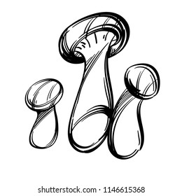 Brown cap boletus, edible forest mushrooms. Outline vector illustration isolated on white background.