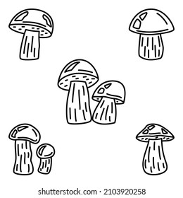 Brown cap boletus. Edible forest mushroom, mushroom picking, natural food. Set of vector icons, outline, isolated. Editable stroke