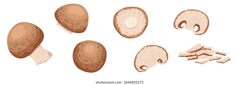 Cogumelos de chapéu marrom. Cogumelos inteiros, cortados e em fatias. ilustração simples plana do alimento desenhado à mão para o visual do ingrediente, o projeto do cozimento, a embalagem, receitas, a decoração do produto, adesivos