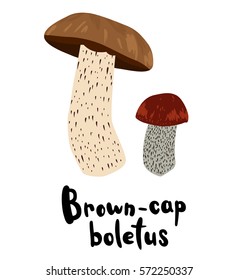 Brown Cap Wild Mushroom