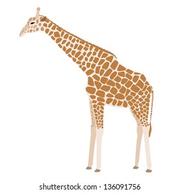 Brown cartoon giraffe isolated on white