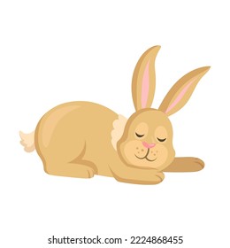 Brown cartoon rabbit or hare character. Cute Easter bunny sleeping. Vector illustration isolated on white background. Easter, farm, animal concept