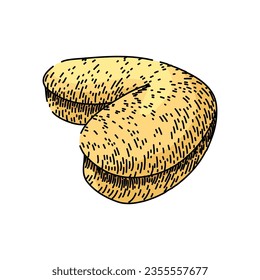brown cashew nut hand drawn. view natural, whole indian, seed healthy brown cashew nut vector sketch. isolated color illustration