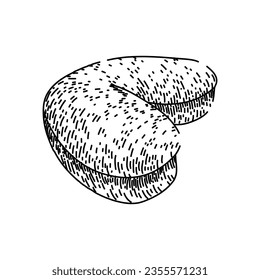 brown cashew nut hand drawn. view natural, whole indian, seed healthy brown cashew nut vector sketch. isolated black illustration