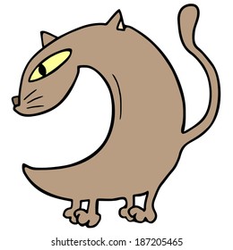 Brown cat