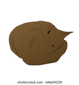 Brown cat curled up in a ball