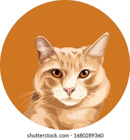 brown cat with brown eyes vector cartoon perfect for pet lover or pet business