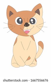 Brown cat images and white backgrounds
