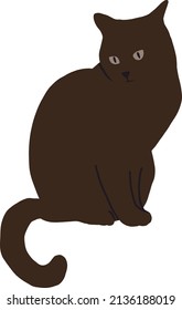 Un gato marrón con una larga cola sentada con la cola colgando hacia abajo