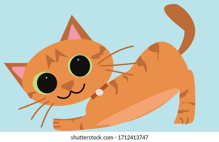 Brown cat on the floor