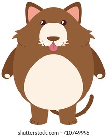 Brown cat with round body illustration