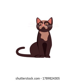 Brown cat sitting and looking up. Square card with funny kitten in flat design. Happy cats day. Flat Art Vector Illustration